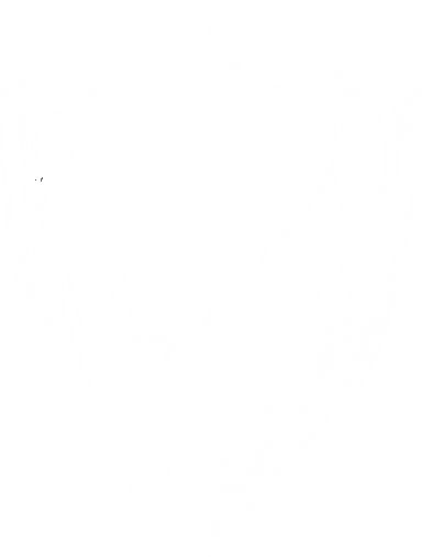 Integrity illustration